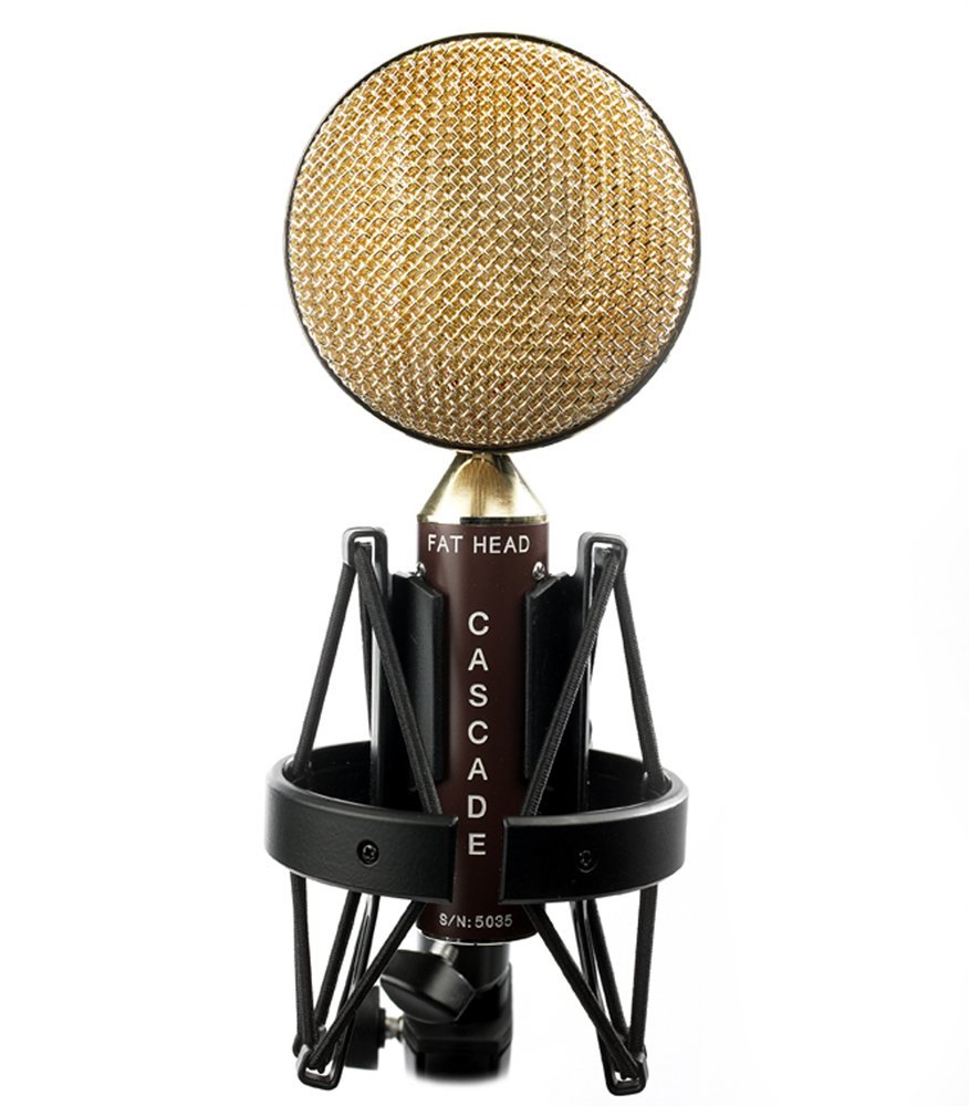 Best ribbon microphones